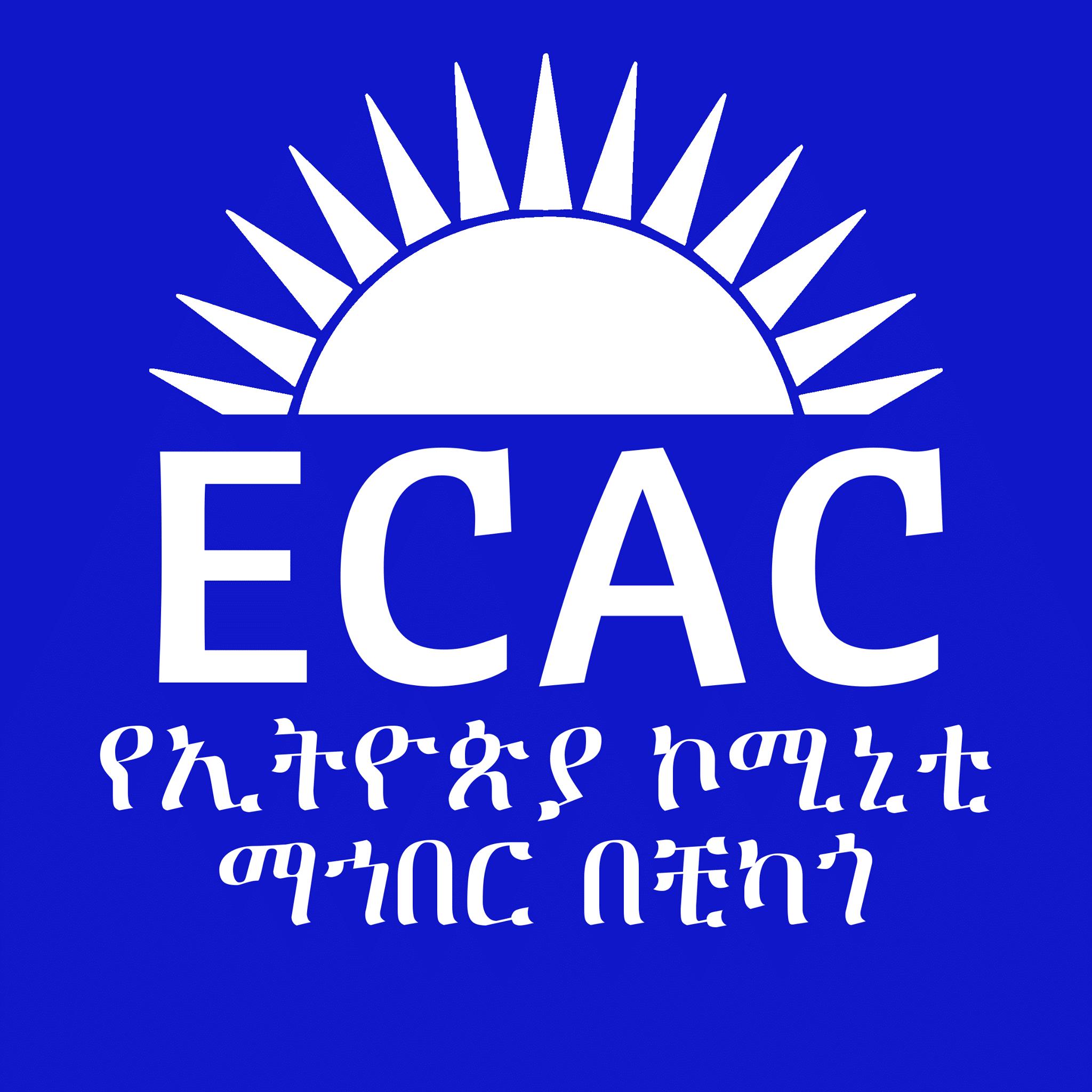 ethiopian community association of chicago