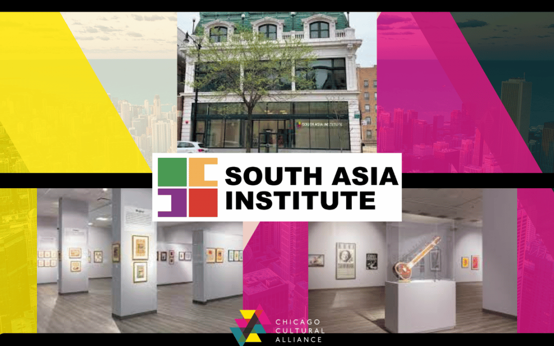 Alliance Welcomes New Member: South Asia Institute