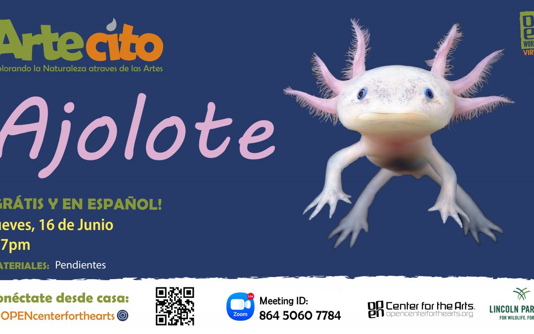 Artecito Virtual – Ajolote