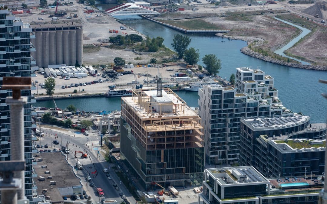 Talking Timber: Can Wood Save Us?