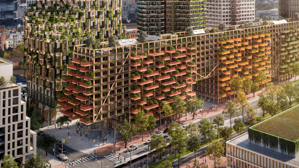 Talking Timber: Designing Future Cities in Wood